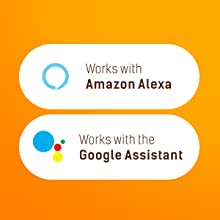 Control through Amazon Alexa & Google Assistant