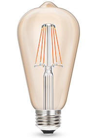 Garnet 8W Filament Gold ST64 LED Bulb